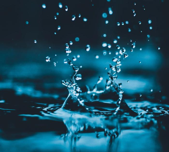 1664332420401958.jpg 15.jpg