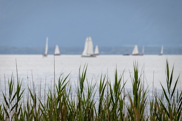 水質分析儀器常見類型.jpg 水質分析儀器常見類型.jpg